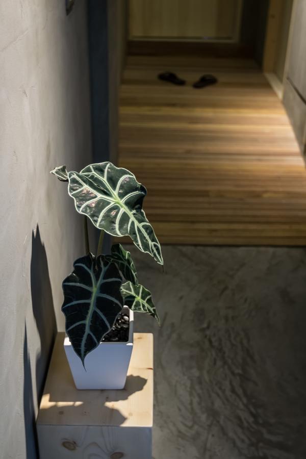 Shaoguang 188 Bed & Breakfast Yuchi Exterior photo